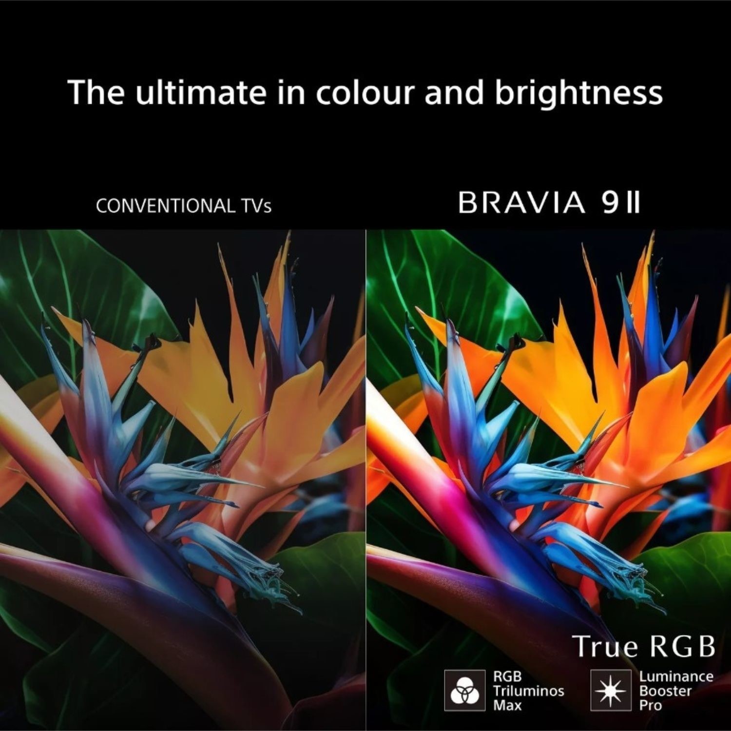 BRAVIA 9 II