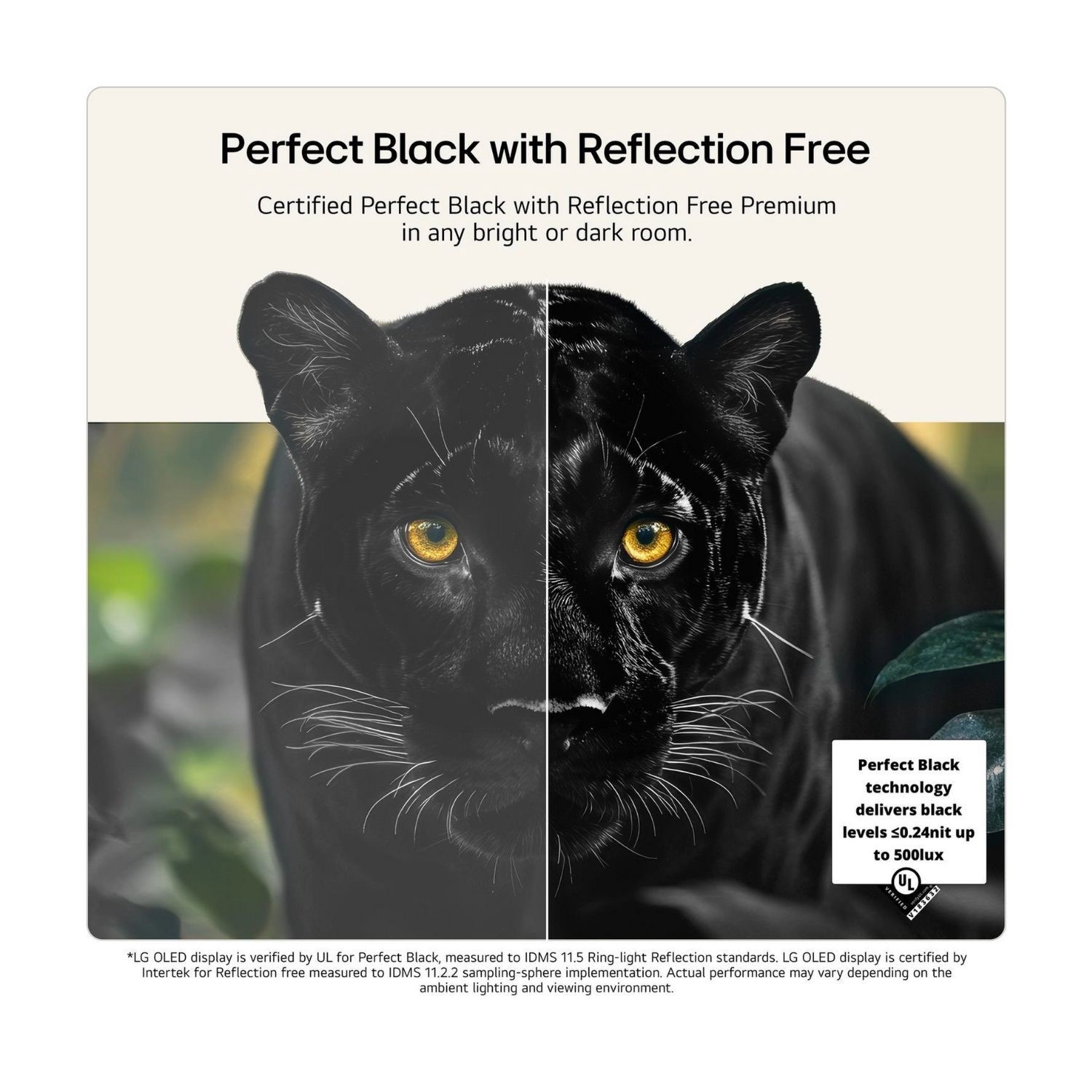 Perfect Black with Reflection Free