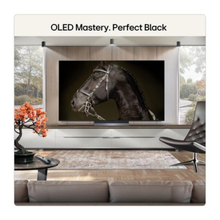 OLED Mastery