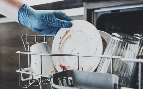 reload dishwasher.