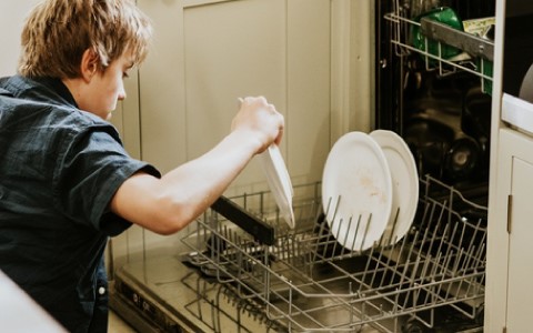 dishwasher half load.