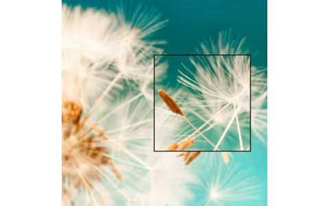FHD Resolution.