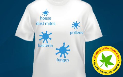 antibacterial antiallergy.