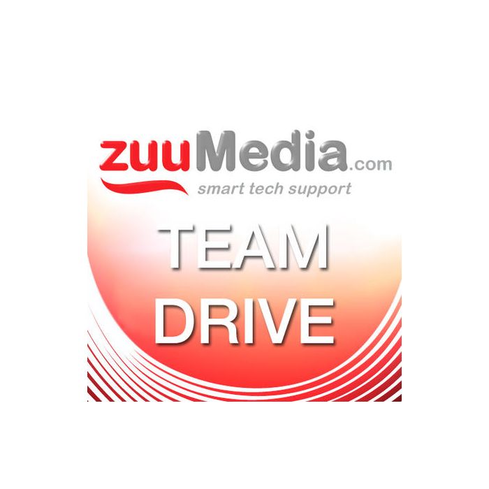 Team Drive (Business Backup and File Server) 25GB - 3 Years