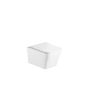 Wall Hung Rimless Toilet with Tornado Flush and Soft Close Seat - Albi image 1