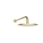 Vance 250mm Shower Head and Wall Arm Brushed Brass image 1