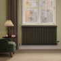 Reggio Midnight Black Horizontal Double Column Traditional Radiator 800x1460mm 5035 BTU - Cast Iron Style image 1