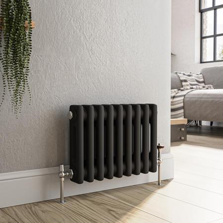 Reggio Midnight Black Horizontal Double Column Traditional Radiator 300x425mm 735 BTU - Cast Iron Style image 1