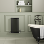 Reggio Midnight Black Horizontal Double Column Traditional Radiator 800x425mm 1416 BTU - Cast Iron Style image 1