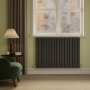 Riace Midnight Black Horizontal Flat Designer Radiator 800x1156mm Double Panel 4370 BTU image 1