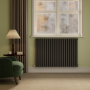 Sorrento Anthracite Horizontal Oval Designer Radiator 800x1180mm Double Panel 4798 BTU image 1