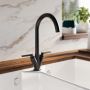 Matt Black Dual Lever Kitchen Mixer Tap - Essence Hector image 1