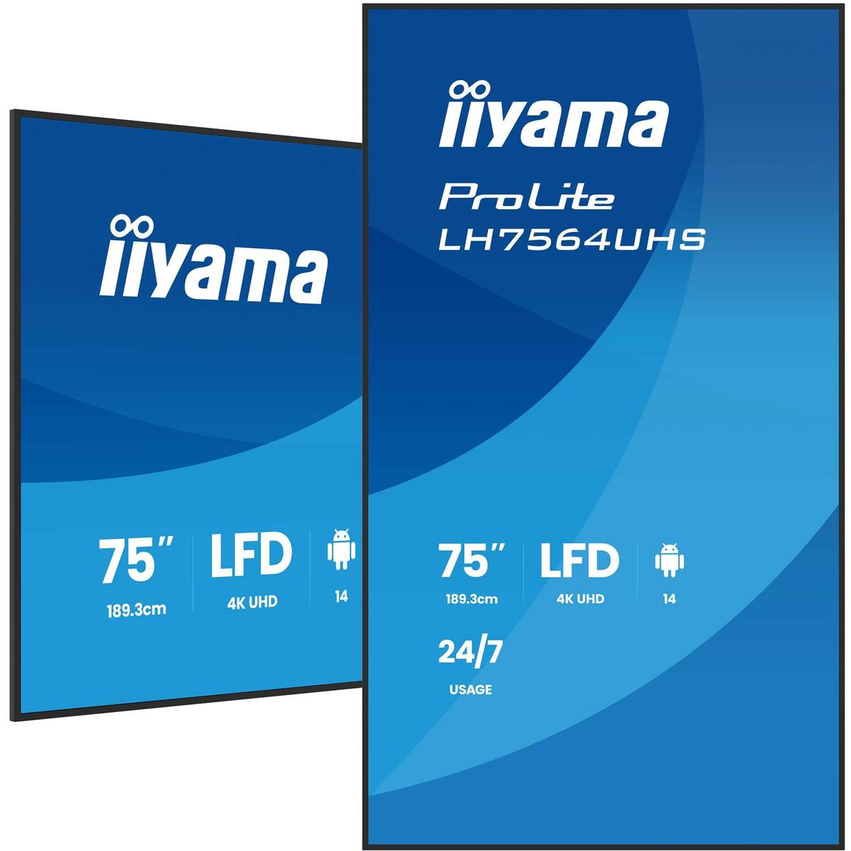 iiyama ProLite 75" 4K UHD Digital Signage Display image 1