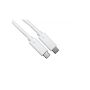 OEM 1 Meter USB-C to USB-C 1000W White Cable image 1