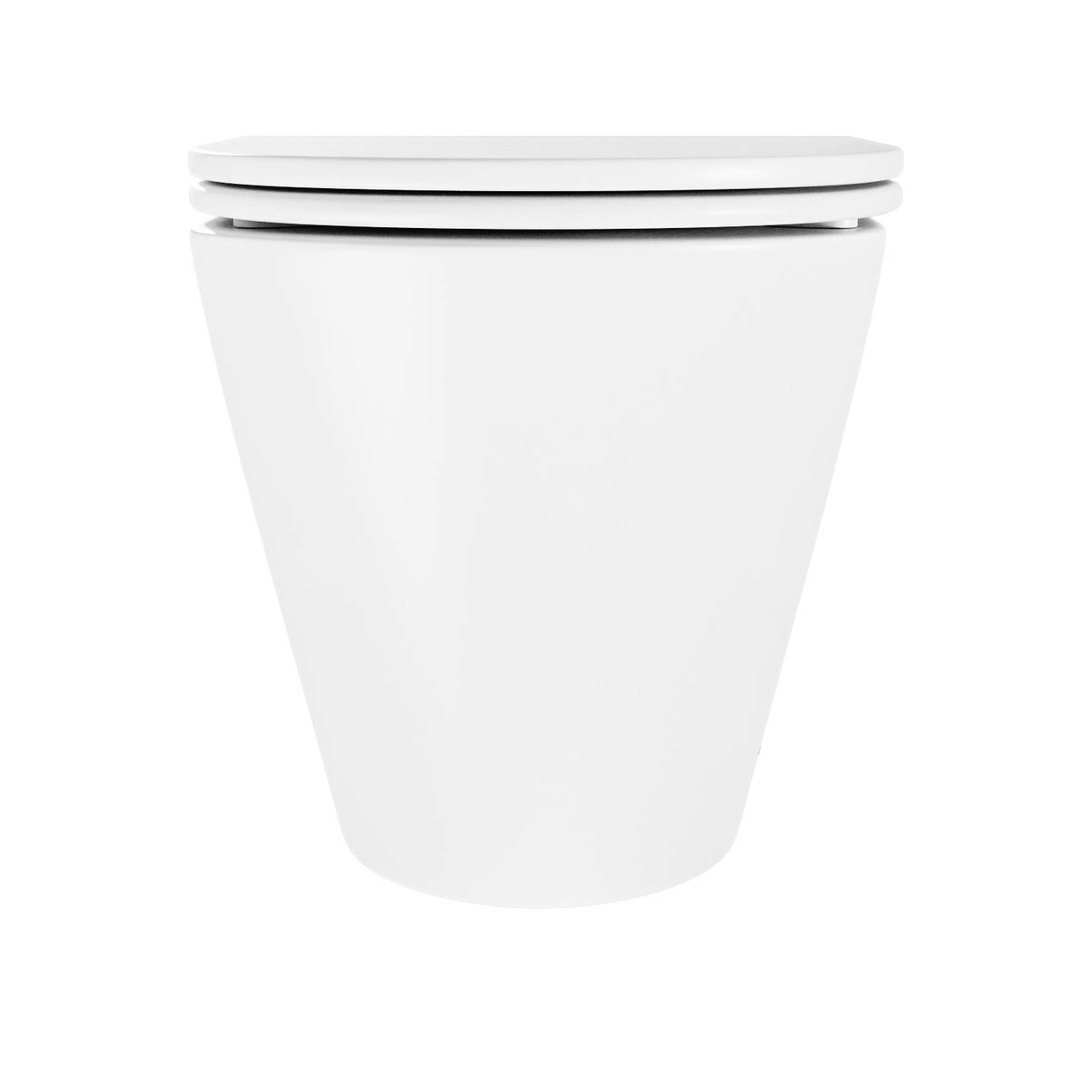 Matt White Back to Wall Rimless Toilet with Soft Close Seat - Newport