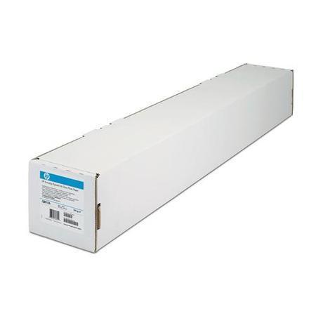 HP Everyday Pigment Ink Satin Photo Paper - pigment ink satin photo paper - 1 roll(s)