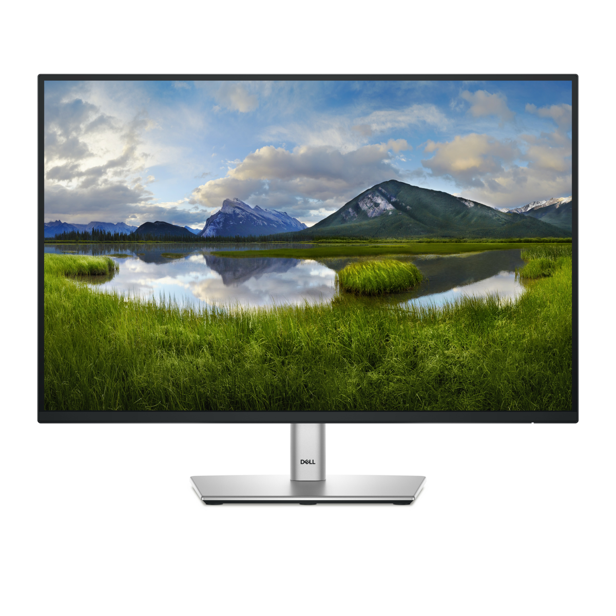 Dell P2425 24" IPS WUXGA 100Hz USB-C Monitor