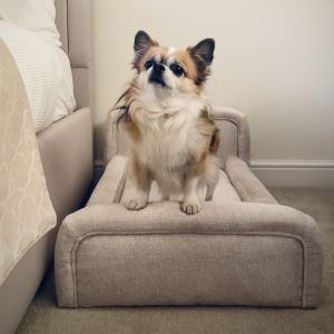 Small Dog Bed in Cream Textured Fabric with Washable Cover - Naomi